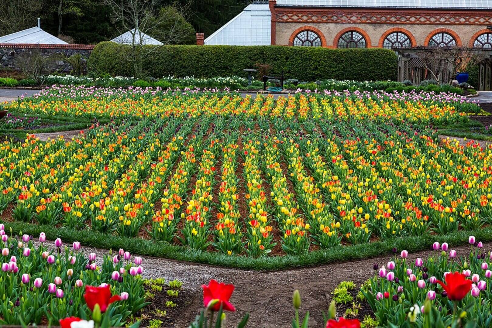 Biltmore Gardens